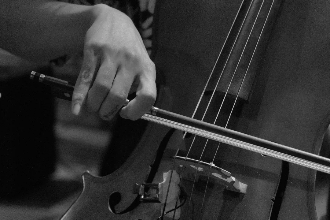 Violonchelo en vivo